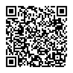 ♞湖口市區雙面臨路農地-QR CODE
