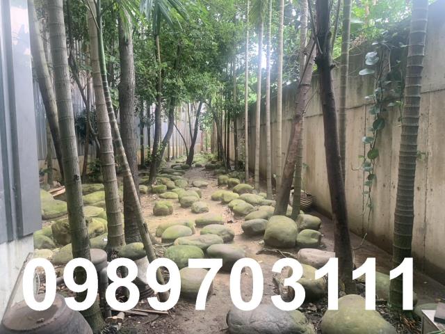 桃園廠房-2