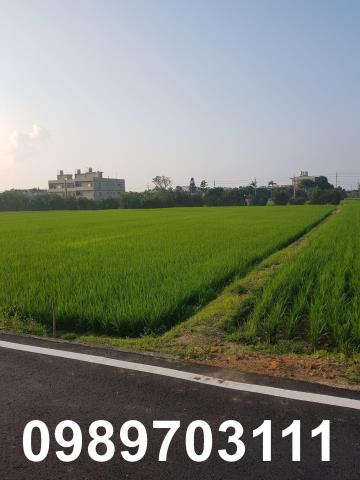桃園農地-2