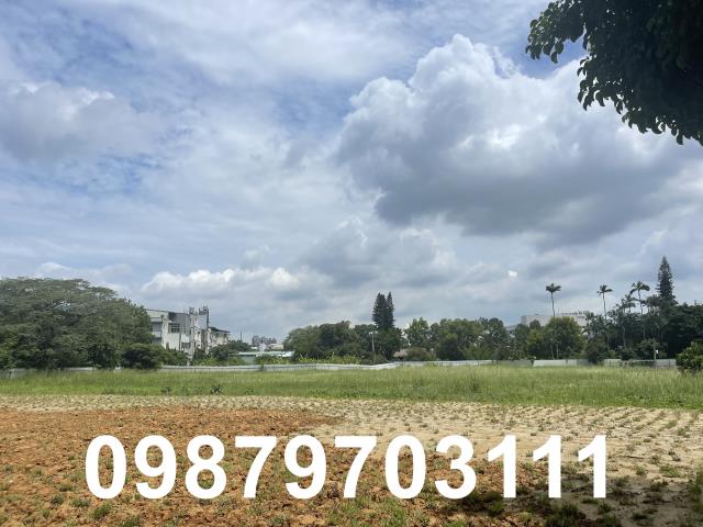 大溪工業地-1