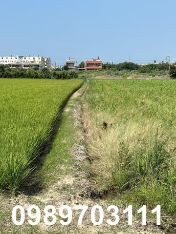 桃園農地-2