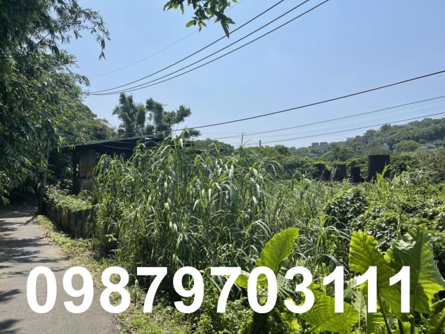 桃園工業地-6